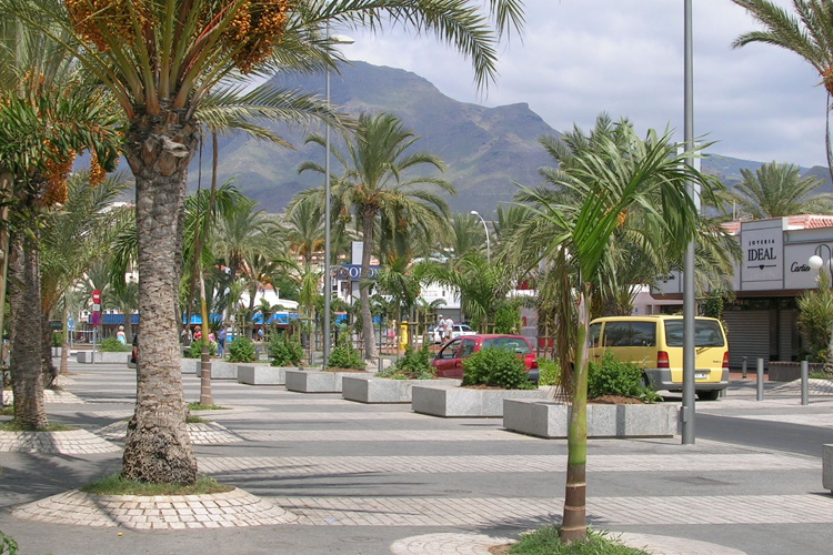 Vista de la zona peatonal de la Avenida Rafael Puig