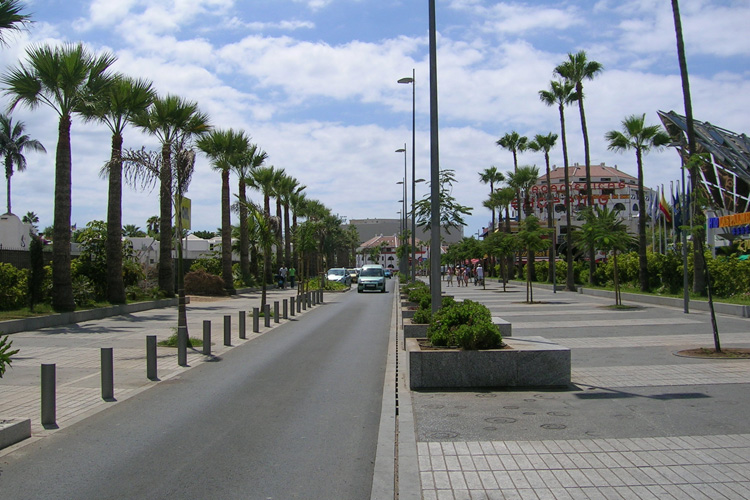 Visión general de la Avenida Rafael Puig, con zona peatonal a ambos lados de la calzada