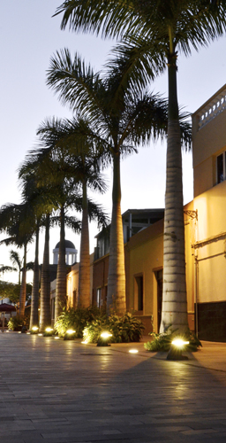 Vista del atardecer con la iluminación  integrada en los norays junto a las palmeras reales ubicadas en paralelo a las viviendas de la Calle Mequinez