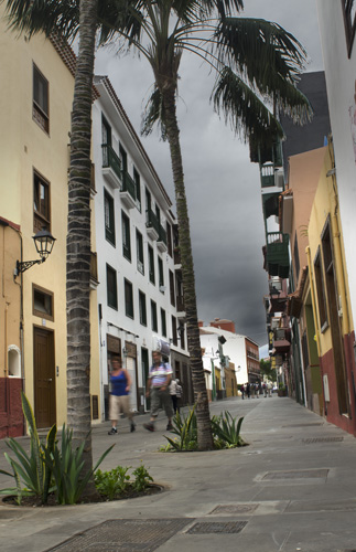 Vista de la parte peatonal de la calle Mequinez, en primer plano palmeras reales