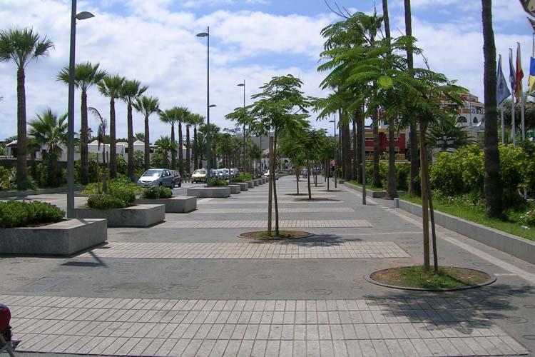 Vista de la zona peatonal de la Avenida Rafael Puig limitada por las bancos-alcorques y detalle de pavimento